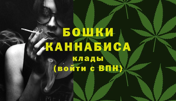ГАЛЛЮЦИНОГЕННЫЕ ГРИБЫ Кодинск