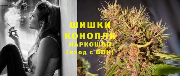 ГАЛЛЮЦИНОГЕННЫЕ ГРИБЫ Кодинск